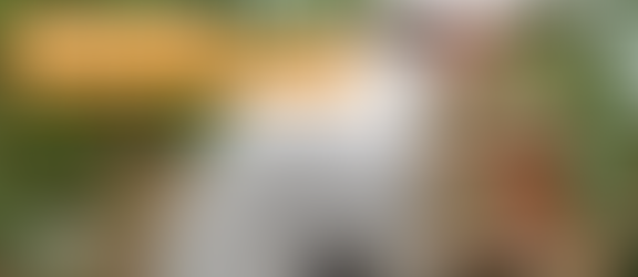 Onde tem tomate pode ter Tomatec