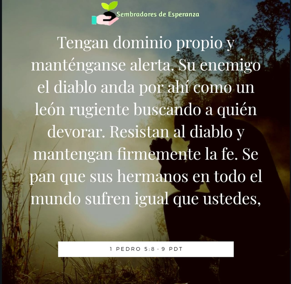 Ver las imágenes de origen