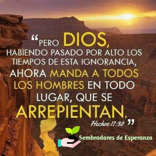 Ver las imágenes de origen