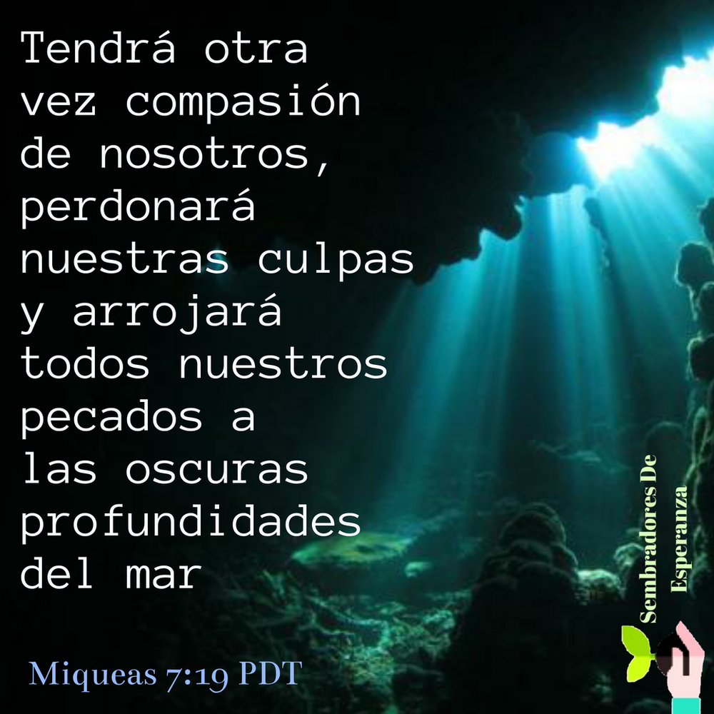Ver las imágenes de origen