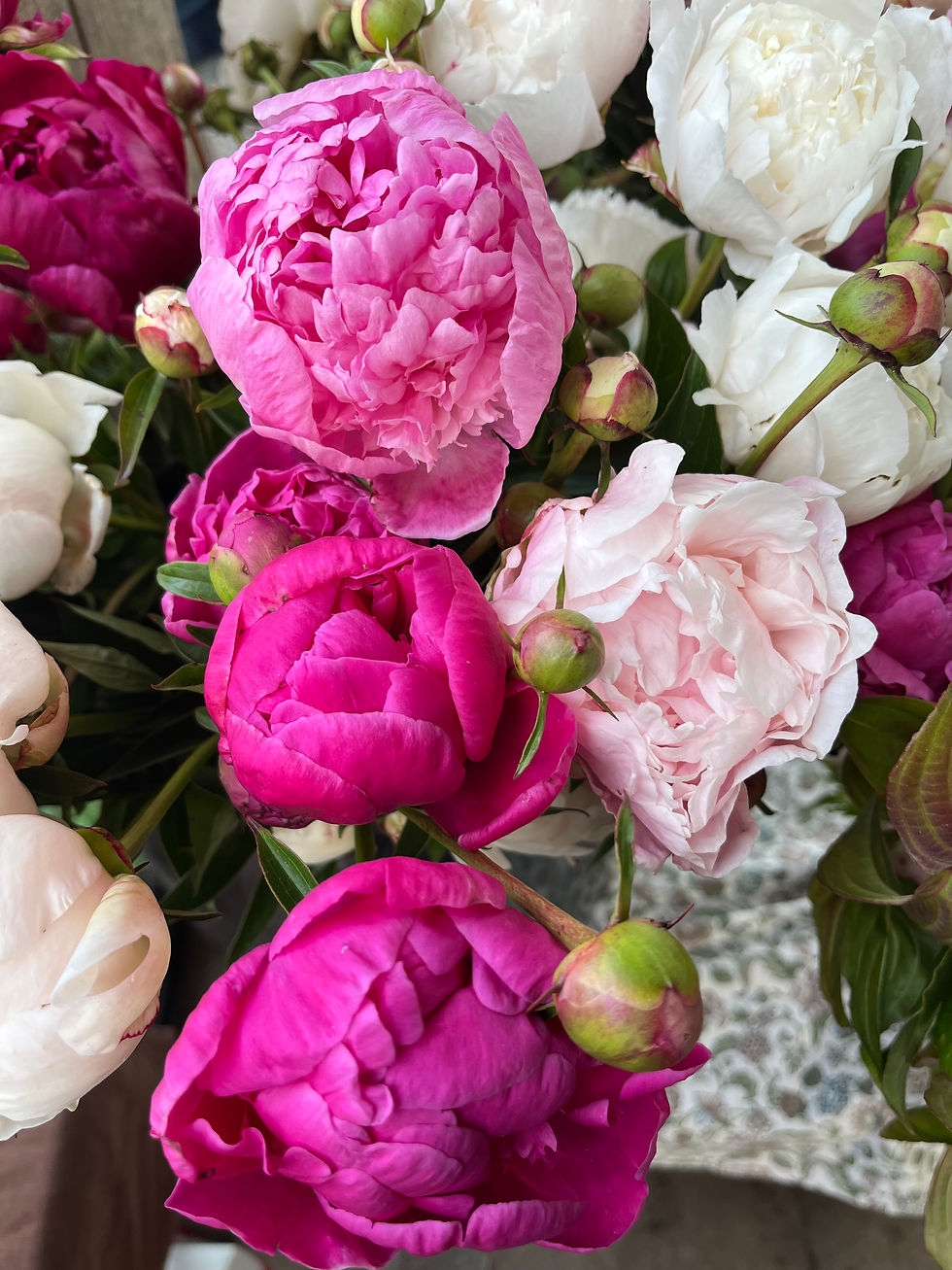 Thumbnail: 2026 Summer Flower Share