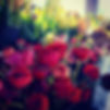 flowers%20at%20market-from%20bfmfbpage_edited.jpg