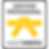 yellow-belt_1000 (002).png