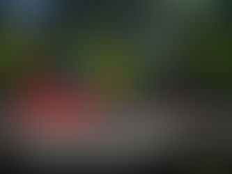 Culture : les retombées de la 46e Conférence ministérielle de l'OIF à Kigali