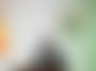 Côte d'Ivoire : le Président Alassane Ouattara investi dans ses fonctions pour un 4e mandat