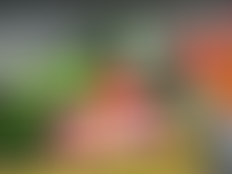 Christmas Gift Ideas for Farmers