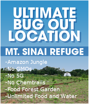 Click here to view Refuge project