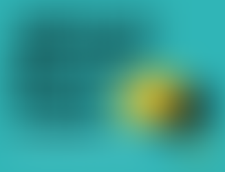 Right Brain Education Library Program Review