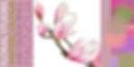 SOLD OUT ~ WENDOVER JNL Studio ~ Floral Studies ~ Watercolour and Watercolour Pencil