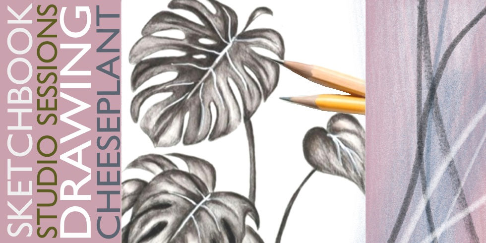 JNL Studio ~ Sketchbook Sessions ~ Cheeseplant