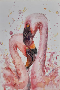 Flamingo Splash  in watercolour A4