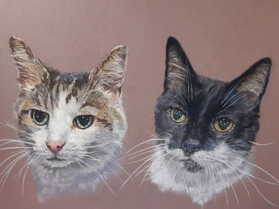 Pet portrait of 2 cats painted inpoastel one tabby and one black and white on a brown background,