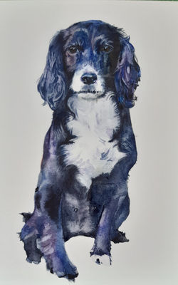 penny in watercolour A4. SOLD