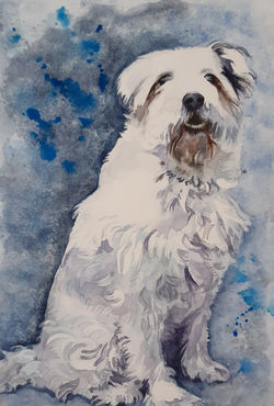 A snowy dog in watercolour A4. SOLD
