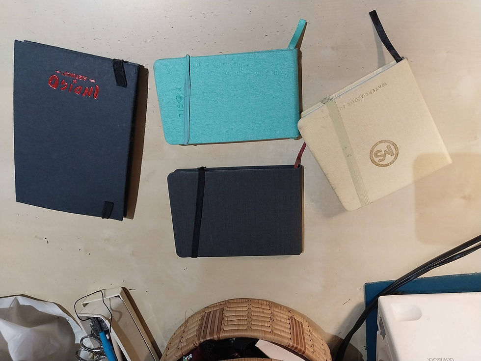 Travel Sketchbooks 2024-25