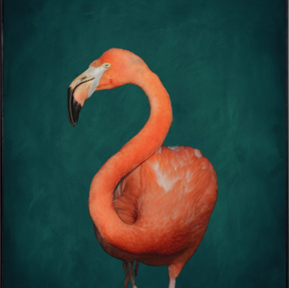 flamingo art