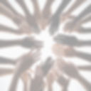 hands together _edited.jpg