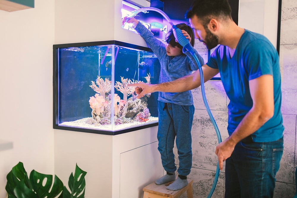 Agua para el acuario