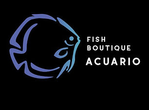 Fish Boutique