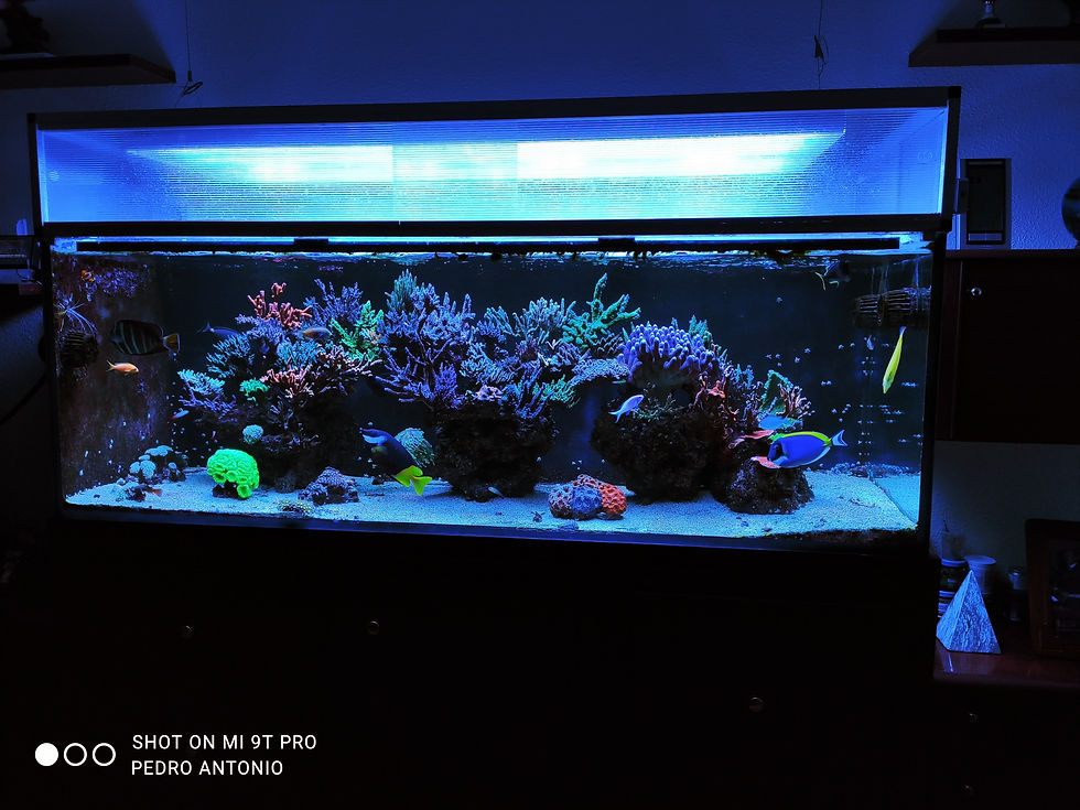acuario marino