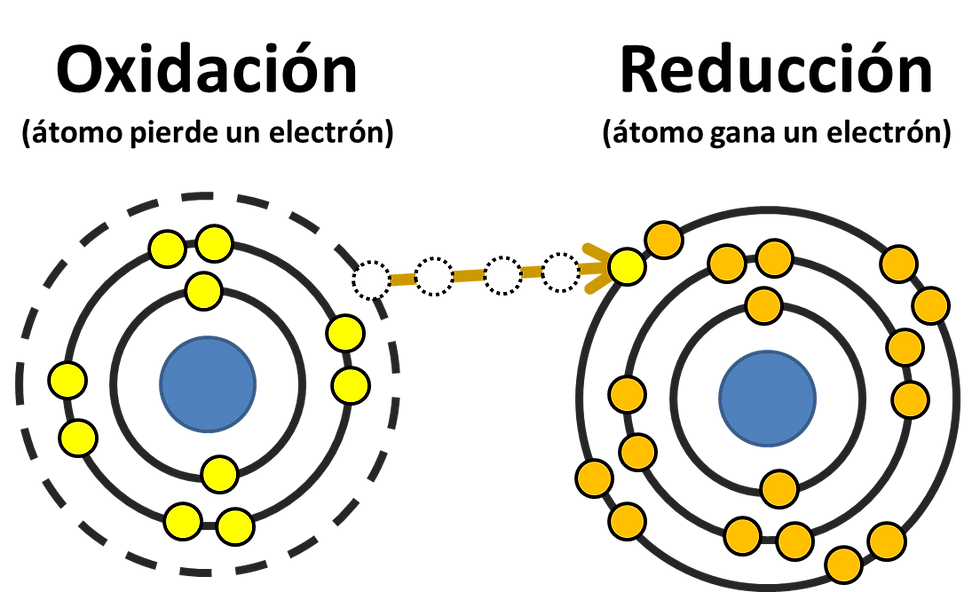 Redox acuario, orp acuario