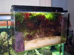cama profunda acuario