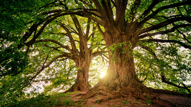 Holiness Is Not Optional: The Call to a Set-Apart Life