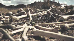 BRINGING DRY BONES TO LIFE
