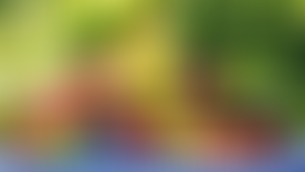 Goodness That Chooses What Is Right: The Fruit That Grows from a Life with Jesus 