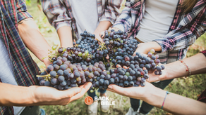 CELEBRATING THE HARVEST OF SOULS