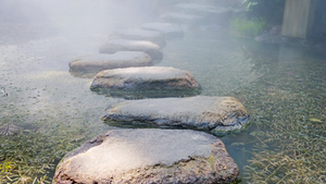 When You Don’t Know What God Wants - Learning to Trust the One Who Leads One Step at a Time 