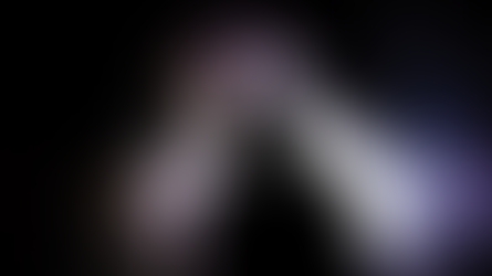 Transformed and Transferred - January 12