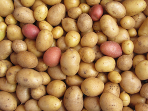 You Reap What You Sow - April 16