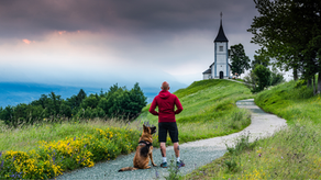 The Church Is Not Optional: Why Every Christian Belongs to a Local Body