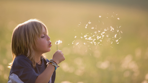 Where Does Joy Come From? - August 1