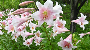Abundant Life - April 30
