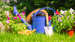 Get Ready To Garden - June 4