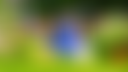Get Ready To Garden - June 4