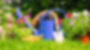 Get Ready To Garden - June 4