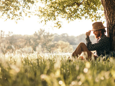 Walking by Faith: Zacchaeus – A Changed Life in Plain Sight