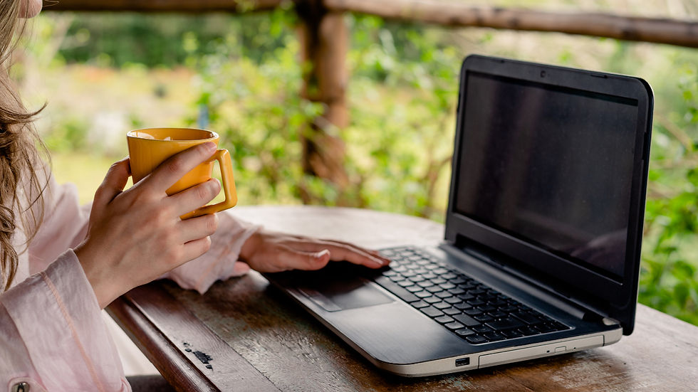 The Possibilities of Mentoring Remotely