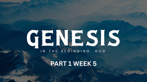 Genesis Part 1 - Week 5