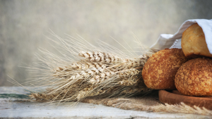 Remember The Manna - April 15