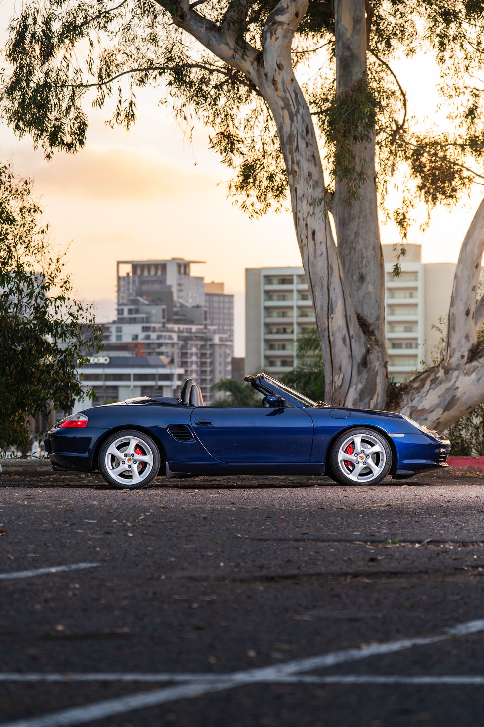 2003_986BOXSTERS_KR-65