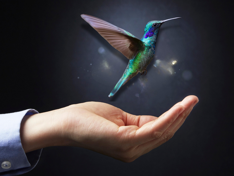 ps Hummingbird Names Greg Gant as CEO to Fuel AI-driven Growth