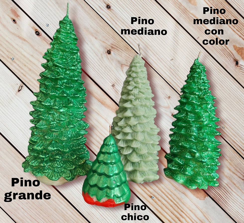 Miniatura: Pino Grande