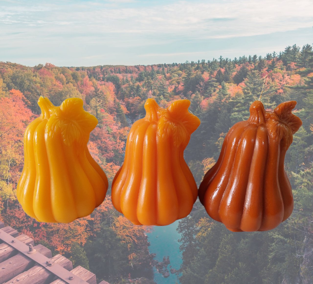 Calabaza Alargada