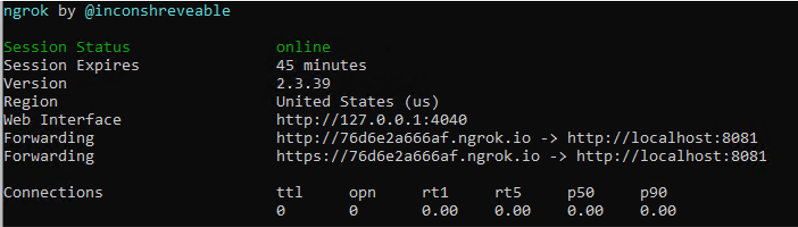 Running Ngrok to act as a reverse proxy allowing the Microsoft Authenticator to connect to our app