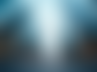 Navigating Political Landscapes in German IT Consulting