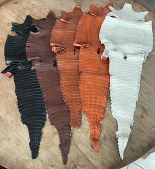 alli dif colours.jpg